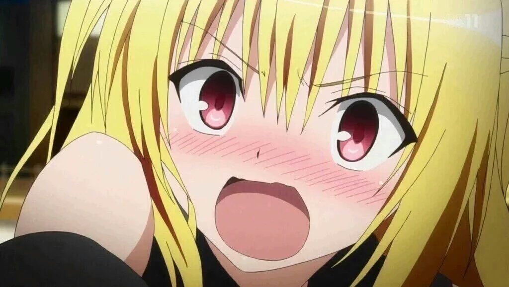 Kaya A Twitter ヤミちゃん誕生日おめでとう ヤミ可愛いなぁ W ヤミ生誕祭 ヤミ生誕祭16 金色の闇生誕祭 金色の闇生誕祭16 12月24日は金色の闇の誕生日 Toloveるダークネス 祝ってくれる人rt Rtした人全員フォローする T Co 1o7tzocc