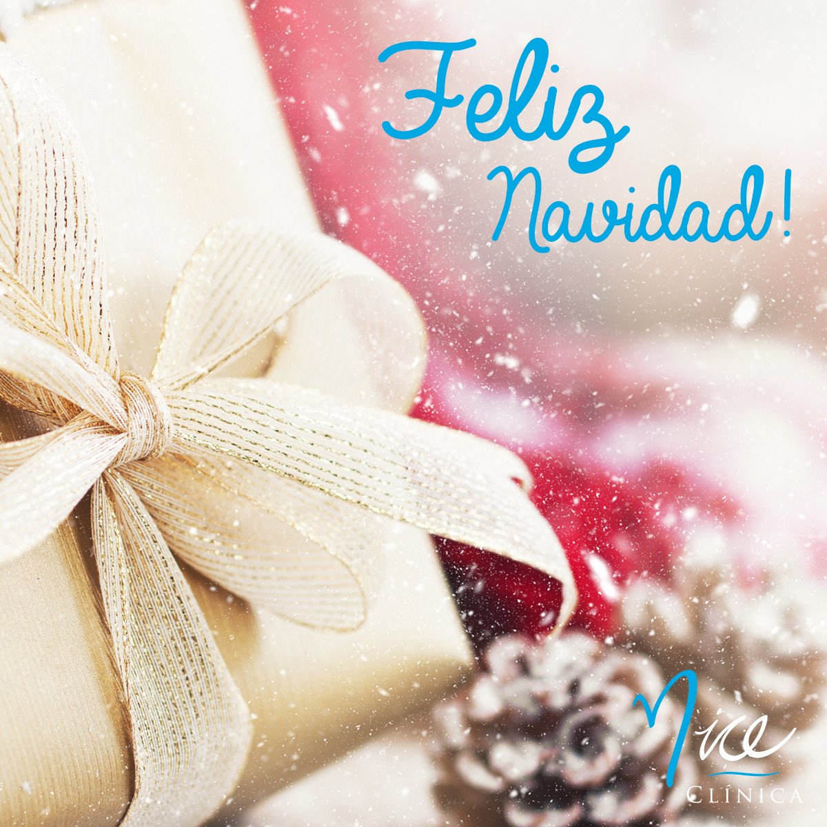 NiceClinica's tweet photo. 🌟 El equipo de @NiceClinica os deseamos a todos que paséis una estupenda Nochebuena y una Feliz Navidad.🎅🏼🎄#Xmas2016  #Navidad https://t.co/gwKFxZQaak