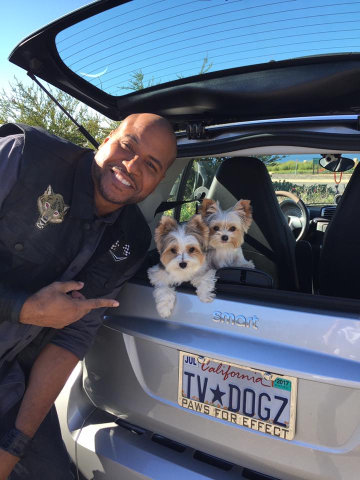 Dream Fetchers tweet media