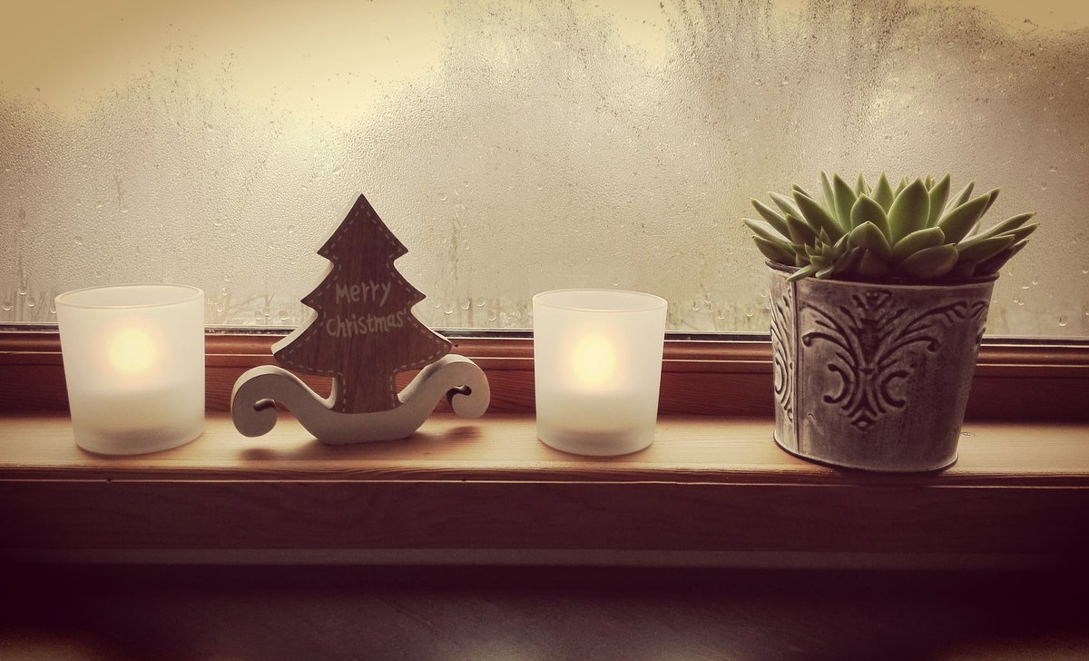 tinyhouse50's tweet photo. Petite maison petit sapin #merrychristmas #tinyhouse #JoyeuxNoel https://t.co/oJ1GX8HpN7