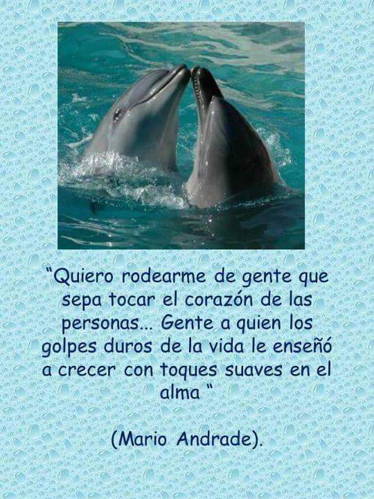 Reve Ana (@reveana) on Twitter photo 