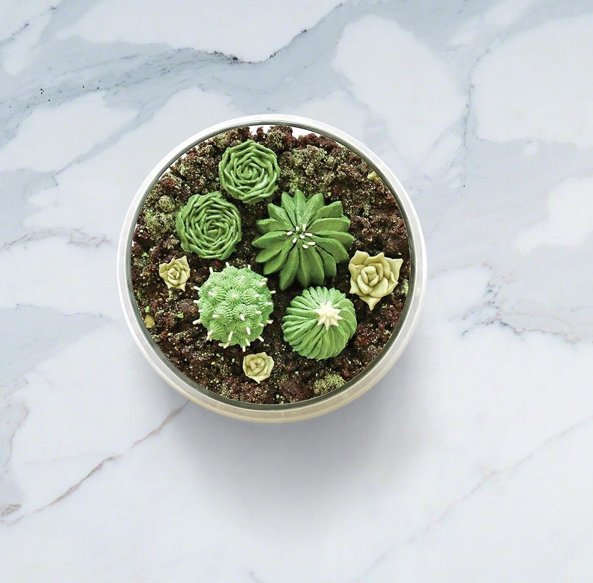 pantone's tweet image. It's a terrarium 🍰 featuring #Greenery cacti
+ cute succulents by designer/baker Alana Jones-Mann 🌵🌿🌵