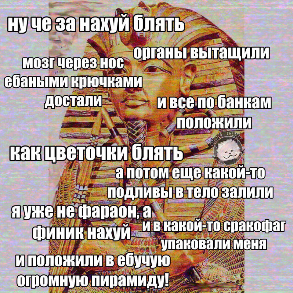 C0YTqBHWEAAtFs6.jpg