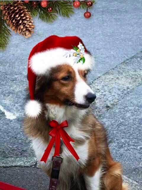 Skye (@findskye) on Twitter photo 