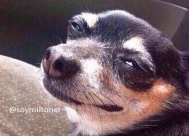 teammiltoner's tweet photo. Cuando mi amiga me dice que ya no siente nada por su ex. https://t.co/sklf1wAOA3