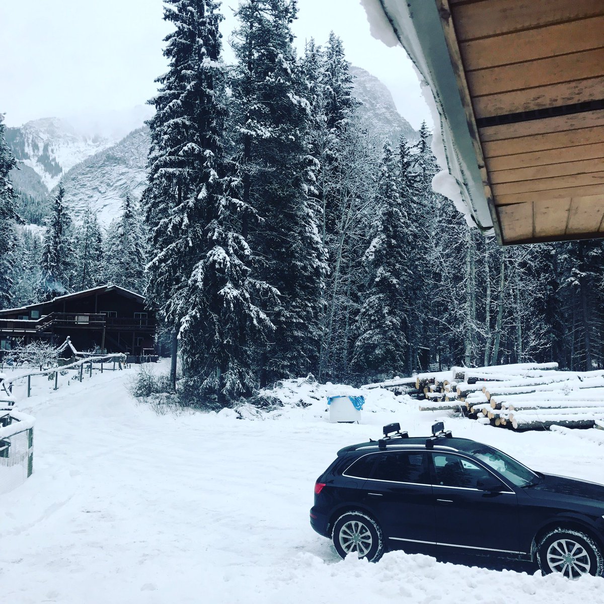 morganlinton's tweet image. Waking up in the Canadian Rockies #skication