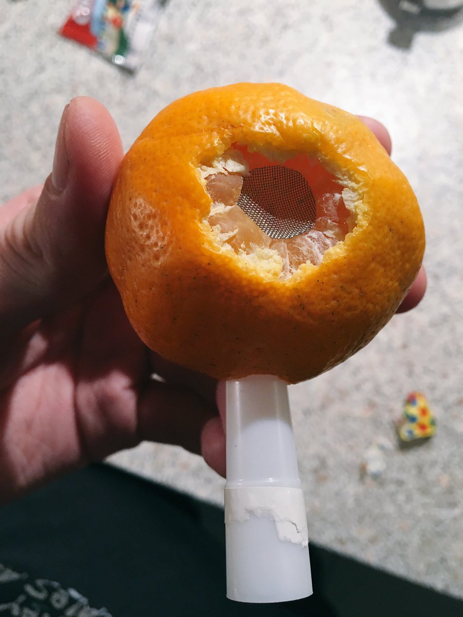 🍊🎄✨