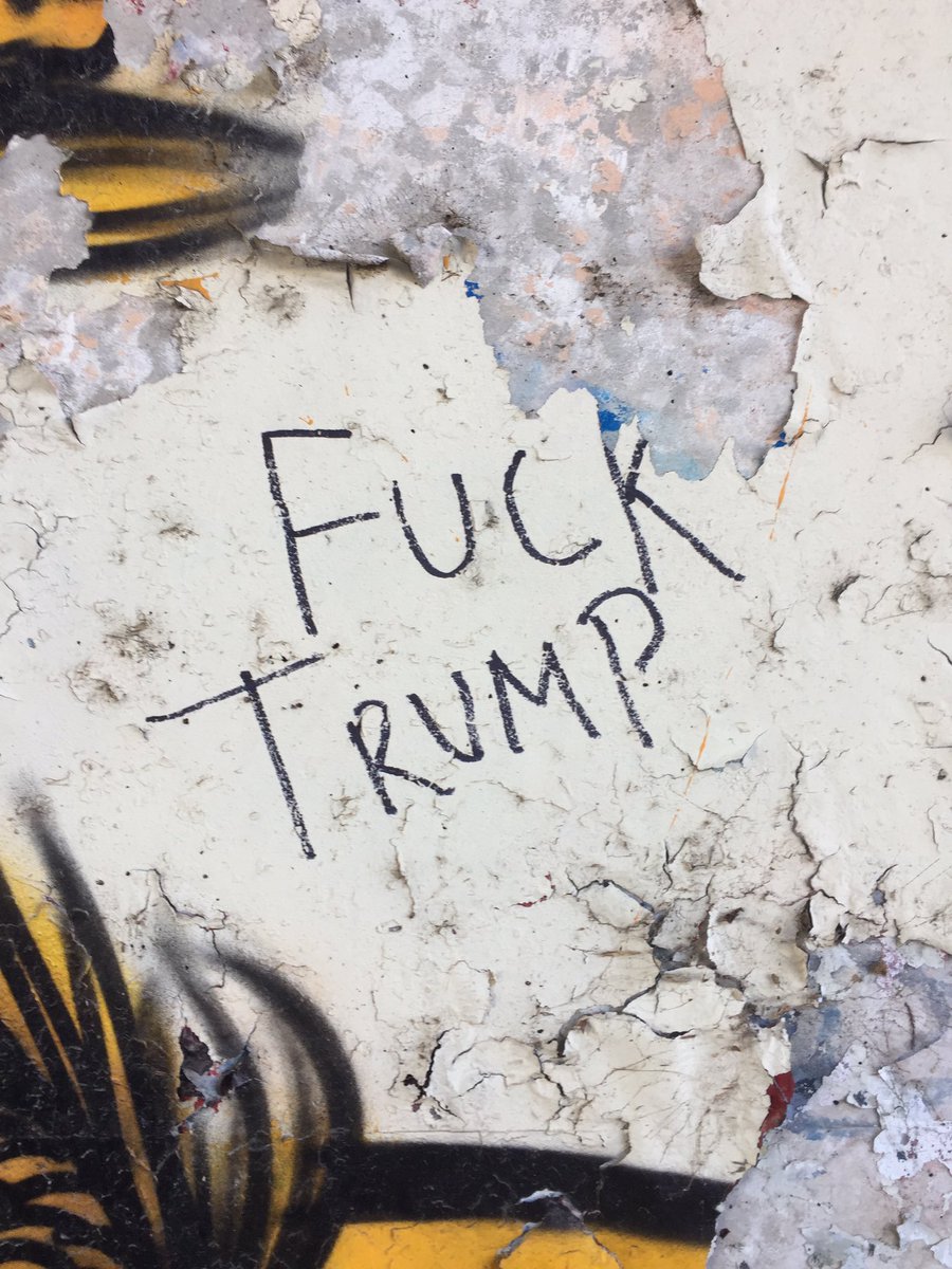 zeeDonaldTrump's tweet image. I want to be the president for all Americans. I cherish your love.