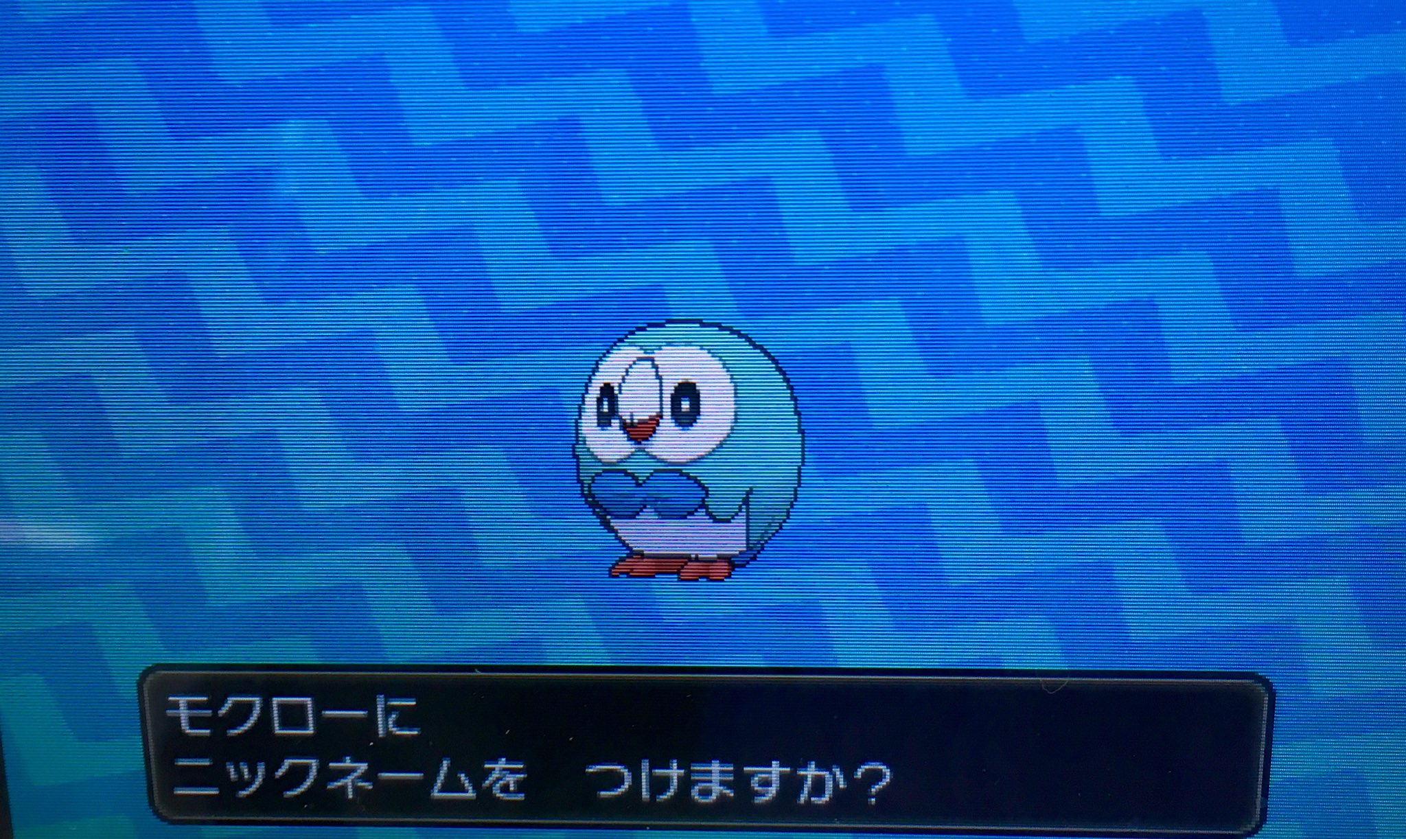 隼レイカ はやぶさの色違いモクローが生まれました ポケモンサンムーン 色違いポケモン T Co Em1elwfclm Twitter