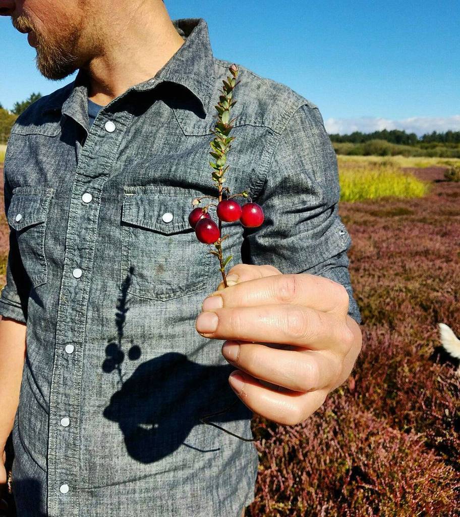 🌿Last Pick🌿 Get your last minute foodie gifts TOMORROW at our last 2016 PSU <a href="/portlandfarmers/">Portland Farmers Market</a>! Market will be from 9…