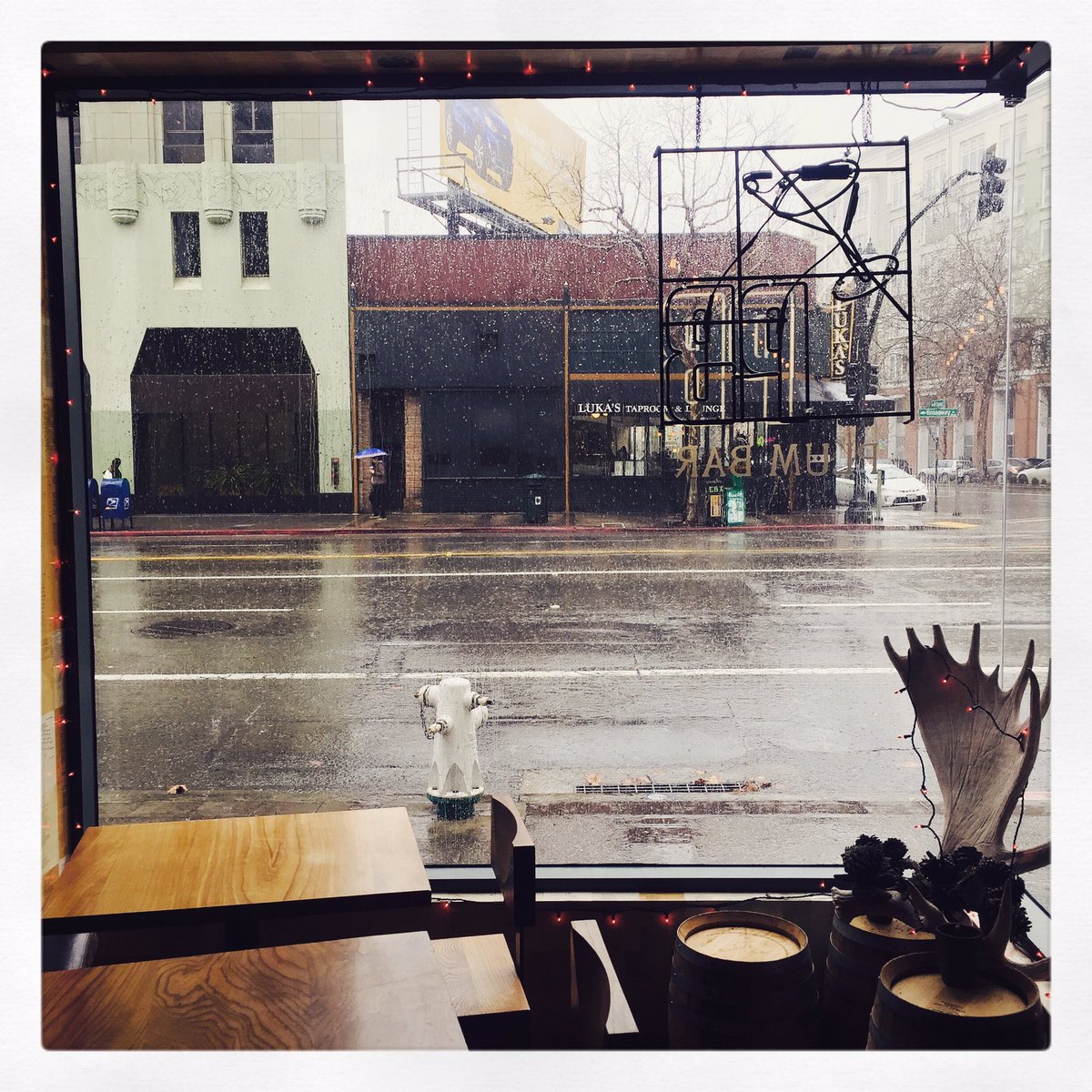 PLUM BAR tweet media