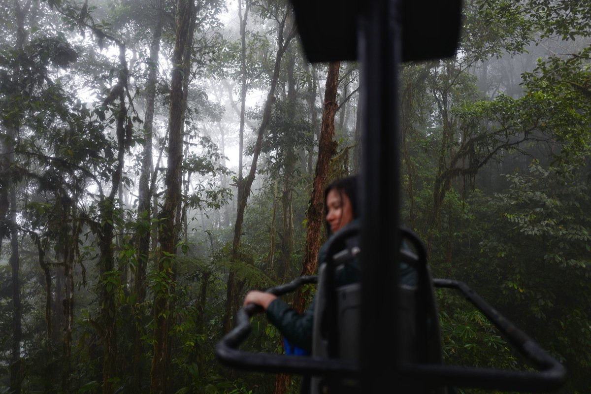 far_back's tweet photo. Riding through layers of cloud &amp; primary forest in the "Sky Bike" at Mashpi #Ecuador. Over 180 feet above the forest floor in some places! https://t.co/O1ceNBuEFO