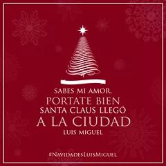 lore69240050's tweet photo. @andreiaia @locaspormicky @maricolombia191 @LMXLM @Fansdelaradio  # OrgulloLuisMiguelero 👰💕💙💚 https://t.co/5pctz0EzDU