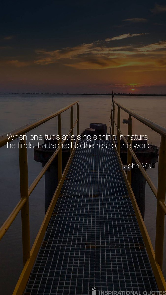 #QuoteOfTheDay #JohnMuir #Nature #Interconnected #PreserveOurWorld