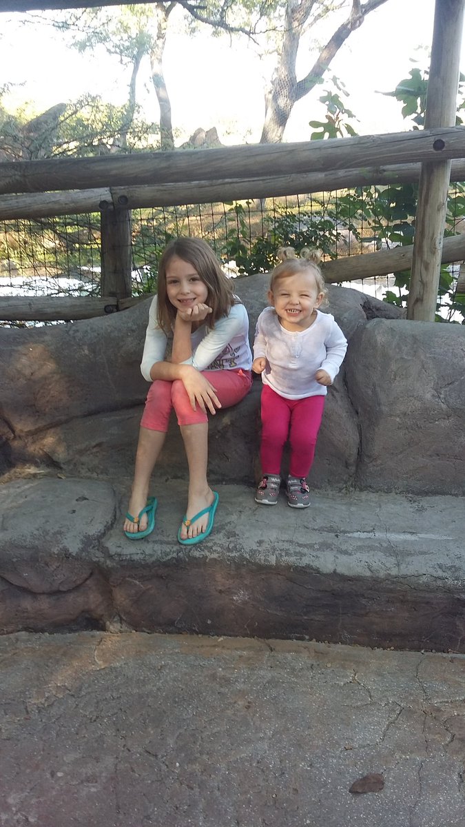 cadr2014's tweet photo. @JRussellTB85 our pretty girls https://t.co/h8MGhEtDsJ