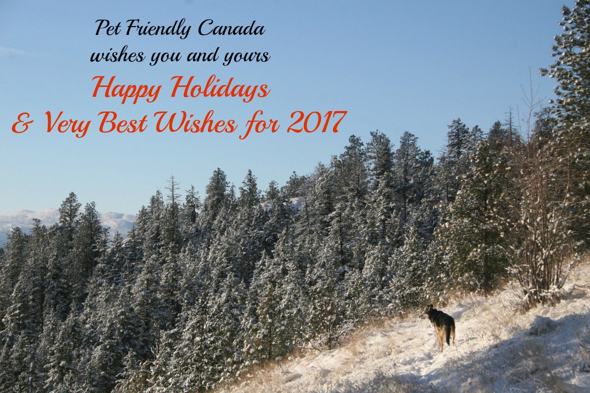 petfriendlyca's tweet photo. We wish you &amp; your loved ones (both 2 &amp; 4-legged) every happiness!
#HappyHolidays #merrychristmas #seasonsgreetings https://t.co/KzaMb3JUdH