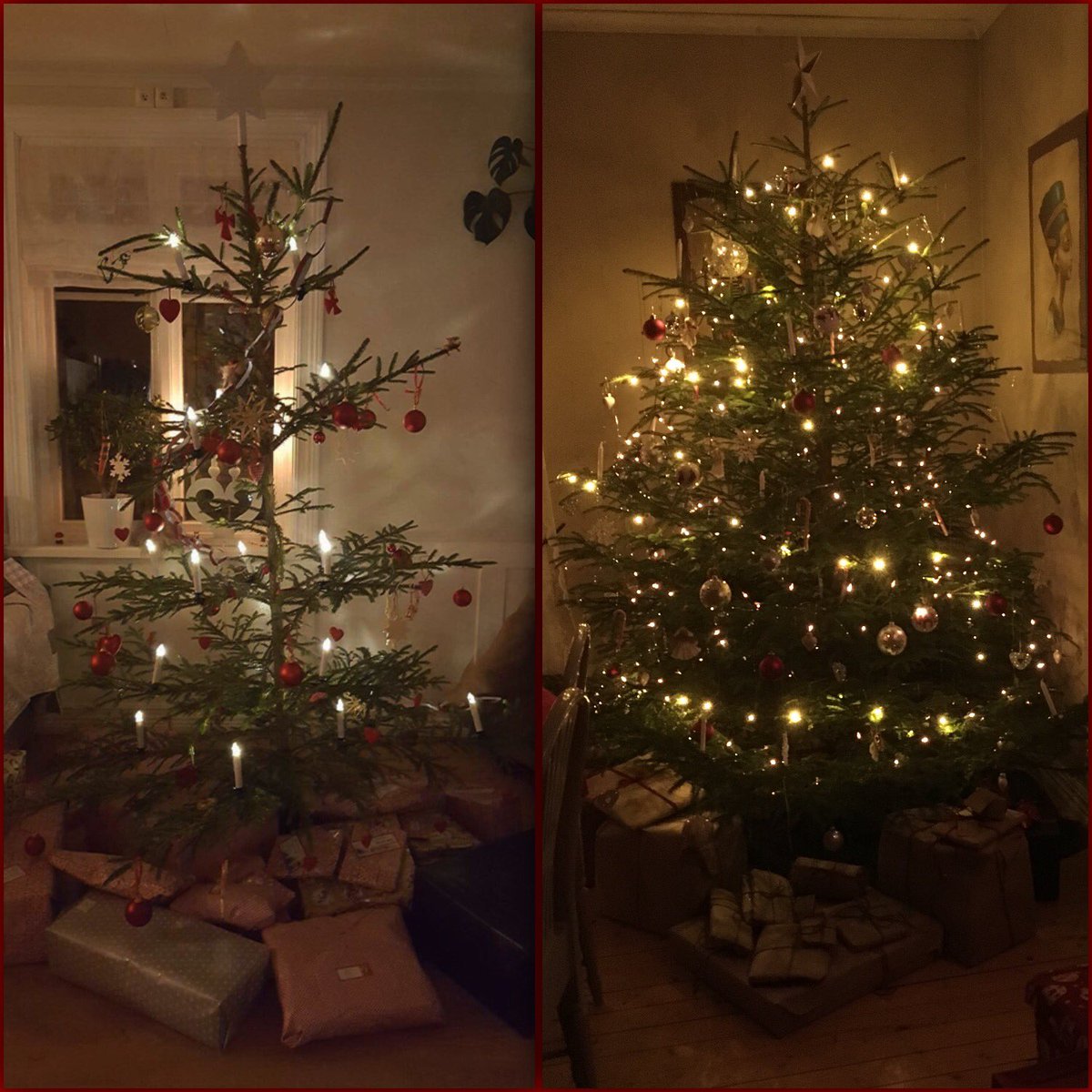 maliinmelander's tweet photo. Kusinernas gran vs vår gran 🎄 https://t.co/xWS5yibRQS