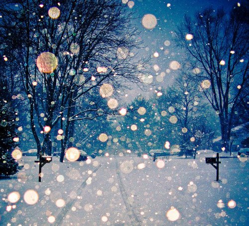 TanyaDantus's tweet photo. Let us bring in the #holidays deeply in touch with the sacred…the holy (wholly), the divine. #Christmas2016 #NewYear2017 #HeartCenteredLife https://t.co/bn1F1mgTPw