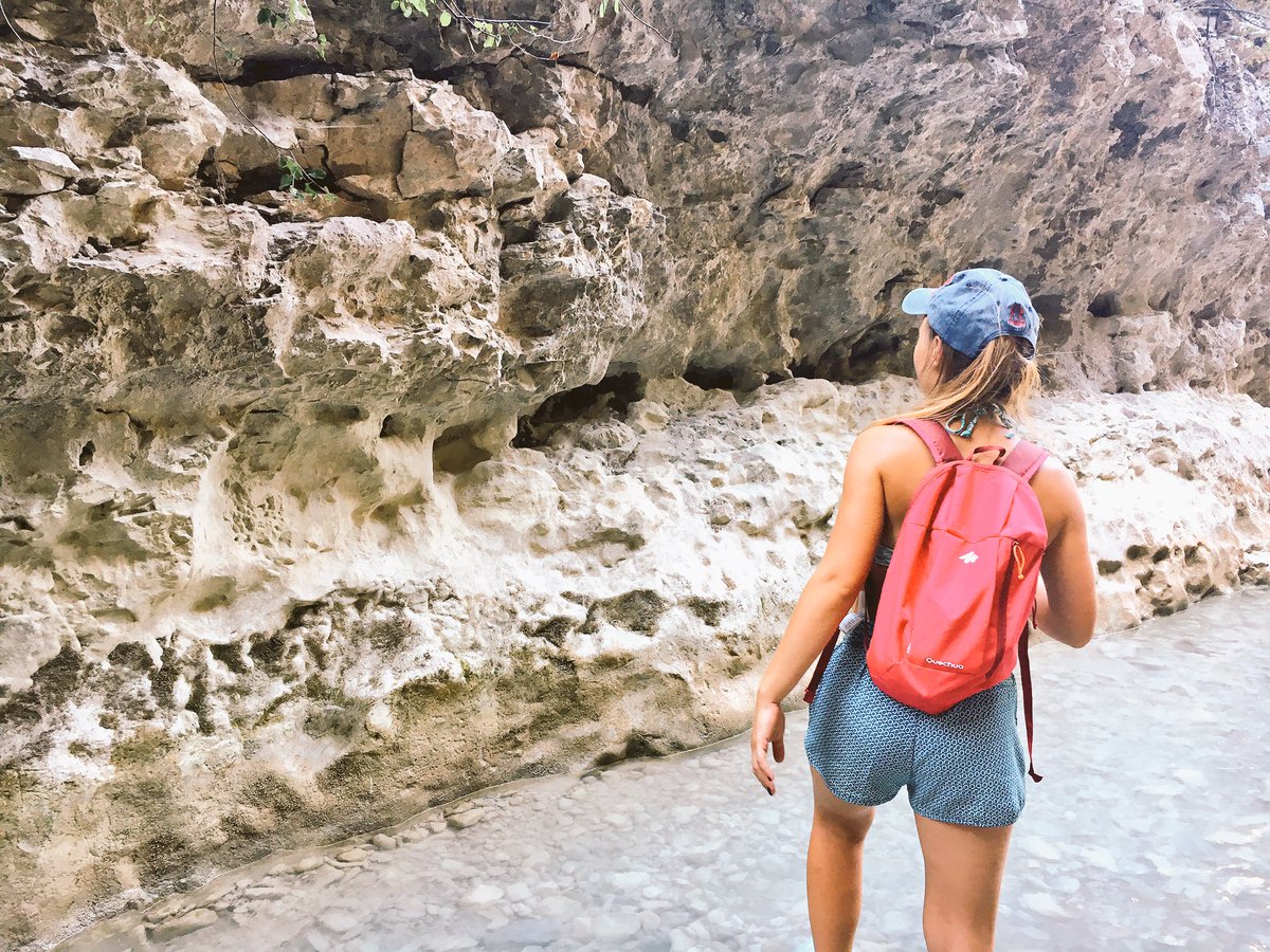 ProvenceTrotteuse tweet media