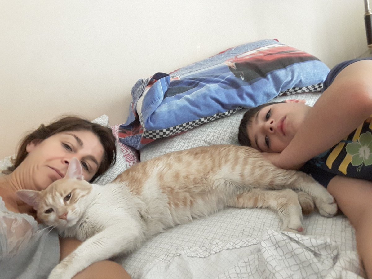 macapauan's tweet photo. @radiomitre  # pensándolobien el es Pancho y es lo más dulce del mundo está pendiente de todos mis estados de ánimo. También tmos a Pusy 😻 https://t.co/fRL4Lwik9R