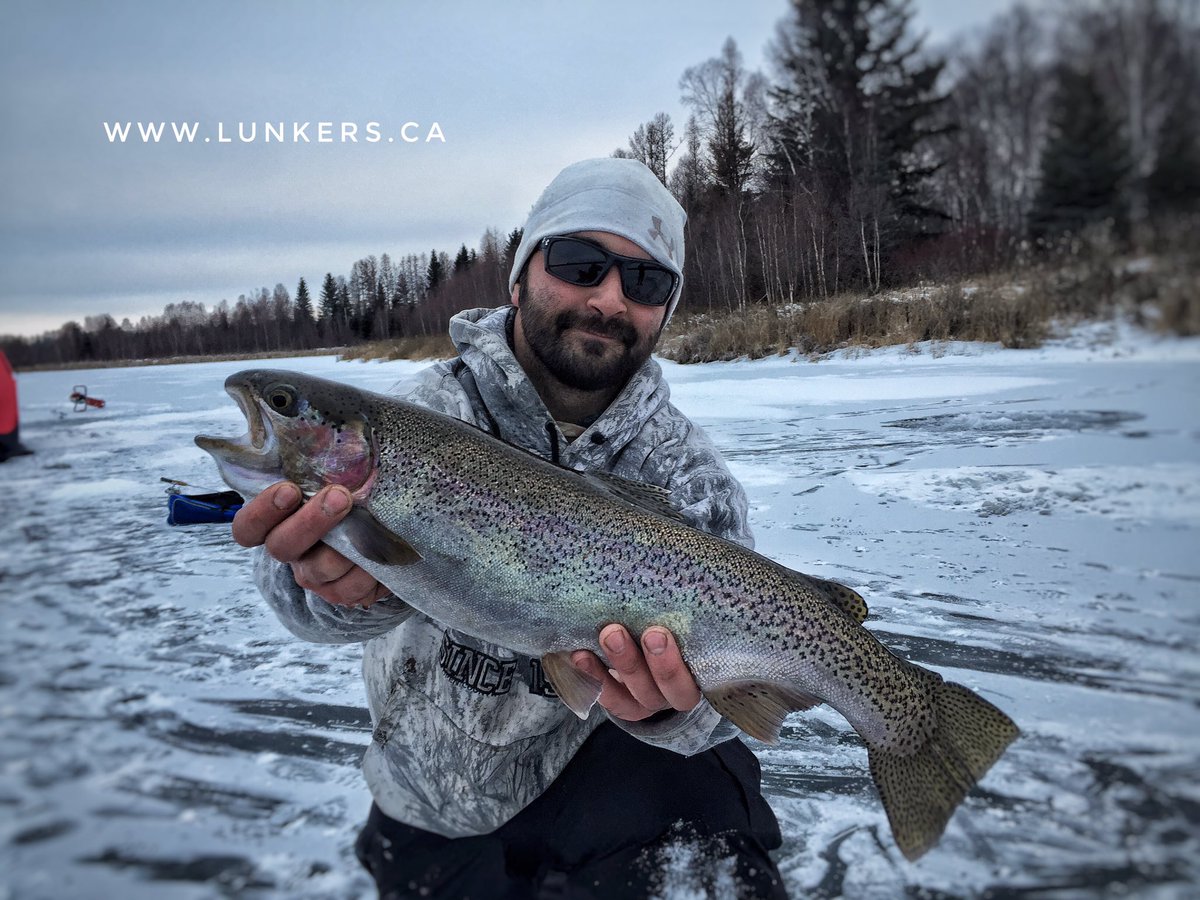 Lunkers_Fishing's tweet photo. #trout #catchandrelease #fishing #hardwater #alberta #edmonton #icefishing https://t.co/dNAaPUnt56 https://t.co/skN5tT3WDt