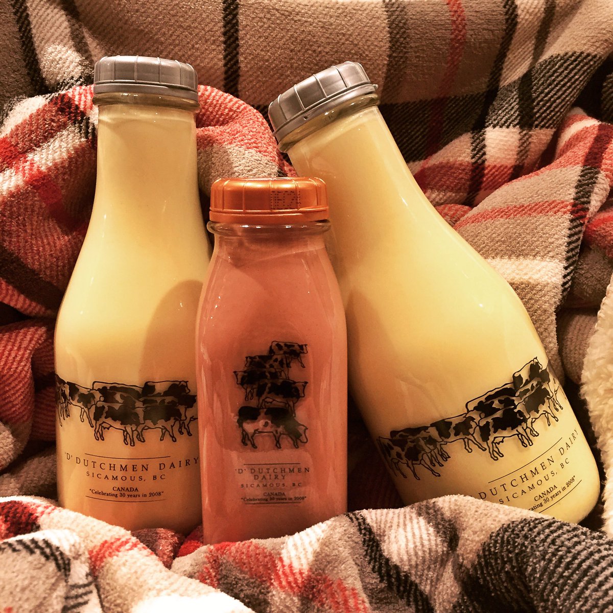 2 DAYS 'TIL XMAS! Get your hands on some D Dutchman Dairy Eggnog before it's gone! 🎄🎉 #eggnog #ddutchman #christmas #chocolatemilk #banff