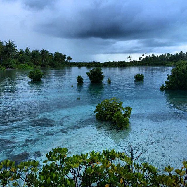 everycountryint's tweet photo. #Kiribati is the only country to fall in all the 4 hemispheres and is the fourth least visited country in the world. Add to bucket list? https://t.co/LEVSvdGb8z