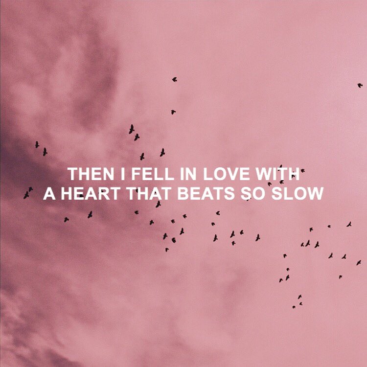 TROYELYRICS's tweet image. 