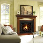 ForshawOfSTL's tweet image. Keep warm at #home with a #directvent #gas #fireplace! Take a look at our selection from @HeatandGlo! bit.ly/2eaNNYQ