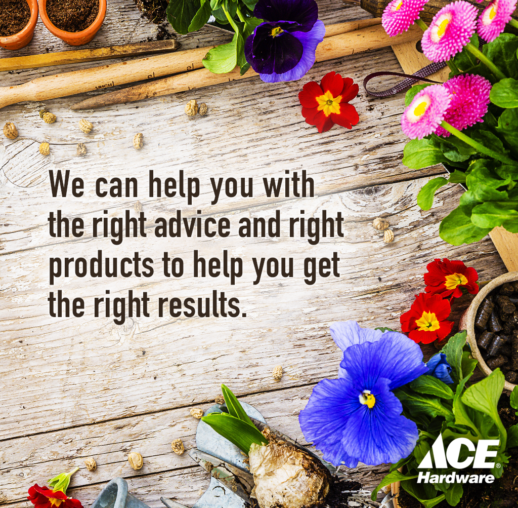 Let us help make plant and lawn care easier for you. universityace.com/department/gar…