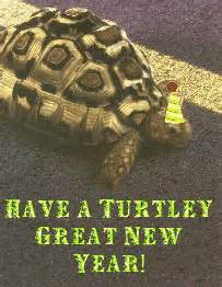 oddie1028's tweet photo. Happy New Year #FilexTurtles and to all the #TurtleFamily https://t.co/UIJT28zgxb