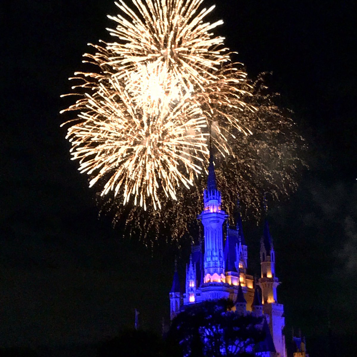 ベストディズニー 花火 今日 ディズニー画像