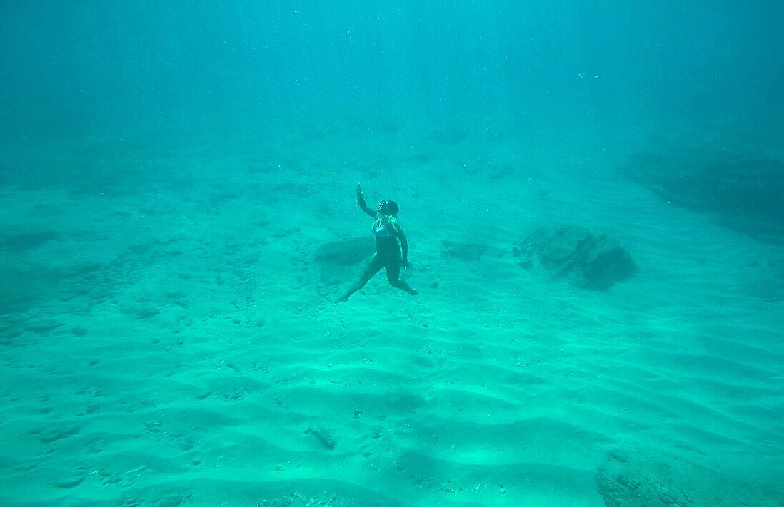 ABOdyssea's tweet photo. "just look at the world around you, right here on the ocean floor, such wonderful things surround you, what more is you lookin' for?" 💦🎼🐠🐢🐚💧 https://t.co/2qBY6QDJYy