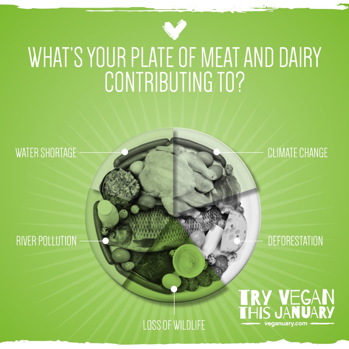 frysfamilyUK's tweet photo. It's #newyear tomorrow so now's the perfect time to set #NewYearsResolutions! Join us by taking on the #Veganuary challenge! @WeAreVeganuary https://t.co/z4j8TTsg6L