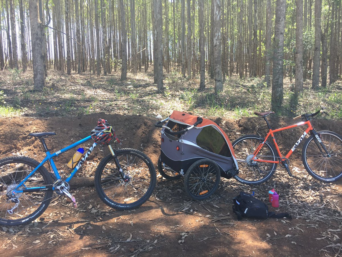 Ryan Neumann tweet media