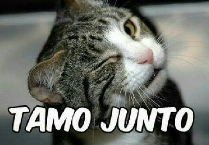 #UltimoSdvDe2016
TAMO  junto no SDV!