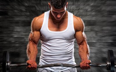 SearchPointer's tweet image. Welcome to 
the MUSCLE of
M&amp;amp;M
goo.gl/6X4nDq click here to visit a site