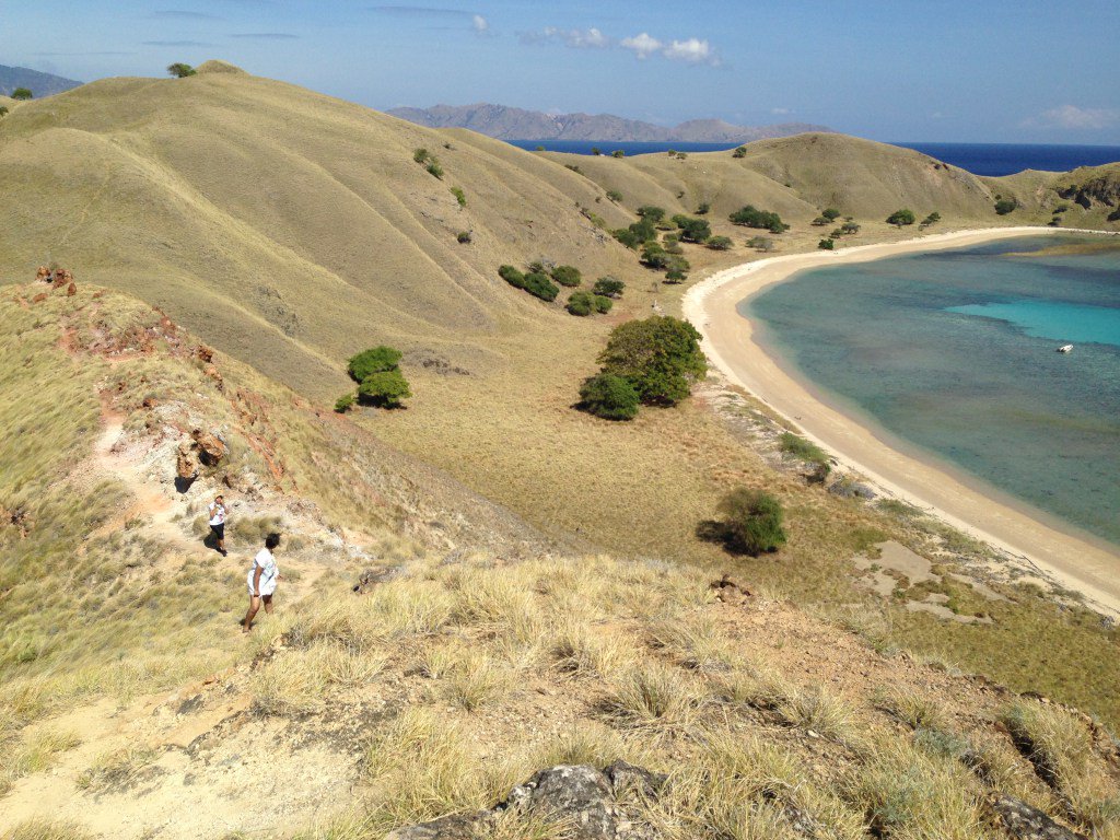 arasuuu's tweet image. komodo islands DAY THREE : uphill and deepsea tabiyoga.wordpress.com/2016/12/31/kom…