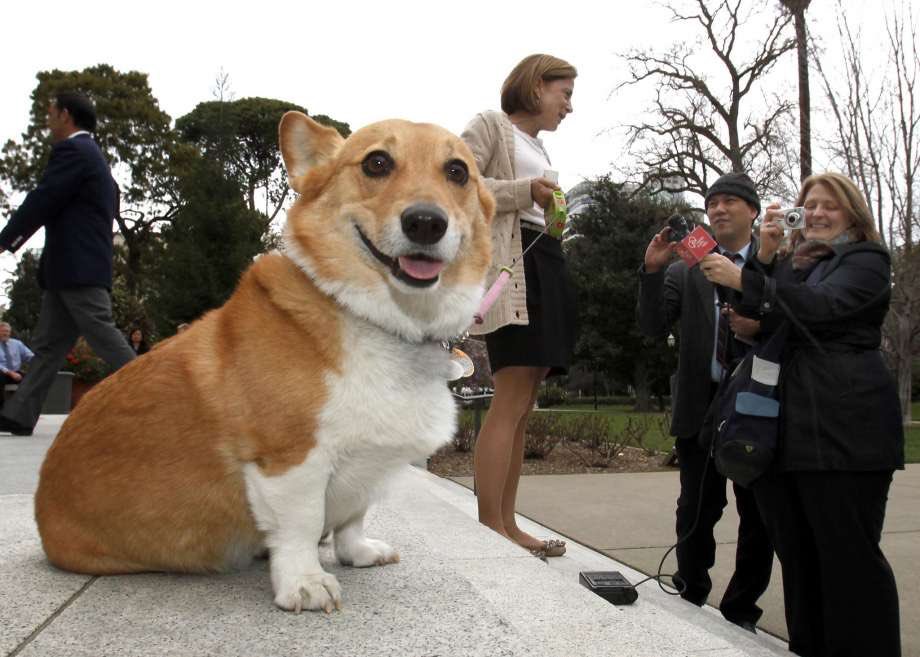 s_whip_'s tweet photo. 2016 took another legend 💔 #RIPSutterBrown https://t.co/UaWNQ7p6O6