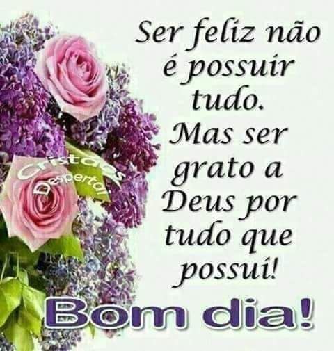 Valeria Beta Lab (@valeria8642) on Twitter photo 