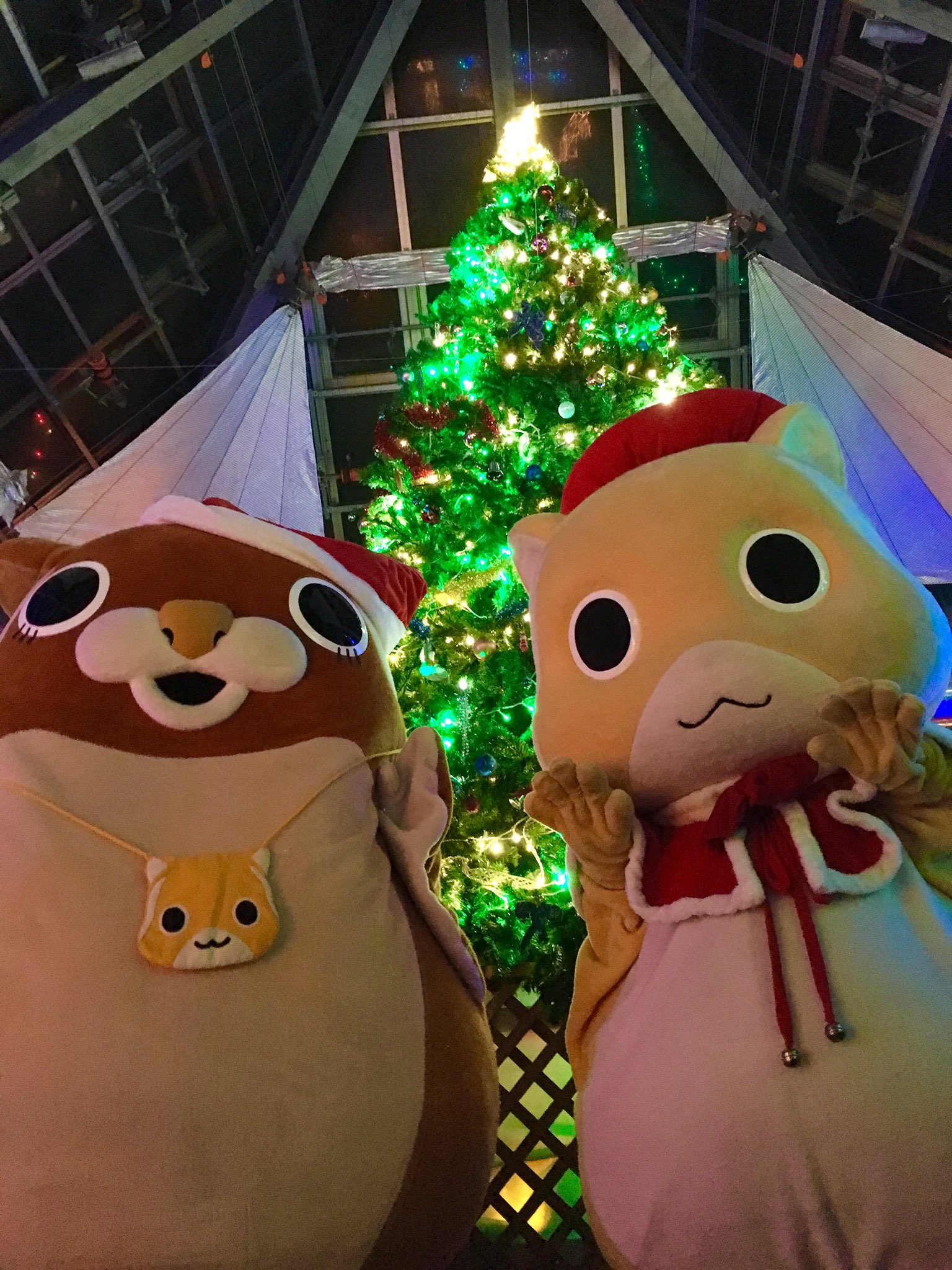 ムッちゃん 記憶も新しいクリスマス 高尾山 点灯式はまさか まさか 時間に間に合わなくて点灯しちゃったけどぉ 式になったむん ーwー 振り返るムササビ クリスマス 高尾山 T Co Wcrnyla0vz Twitter ムッちゃん 記憶も新しいクリスマス 高尾山 点灯式はまさか まさか 時間に間に合わなくて点灯しちゃったけどぉ 式になったむん ーwー 振り返るムササビ クリスマス 高尾山 T Co Wcrnyla0vz Twitter