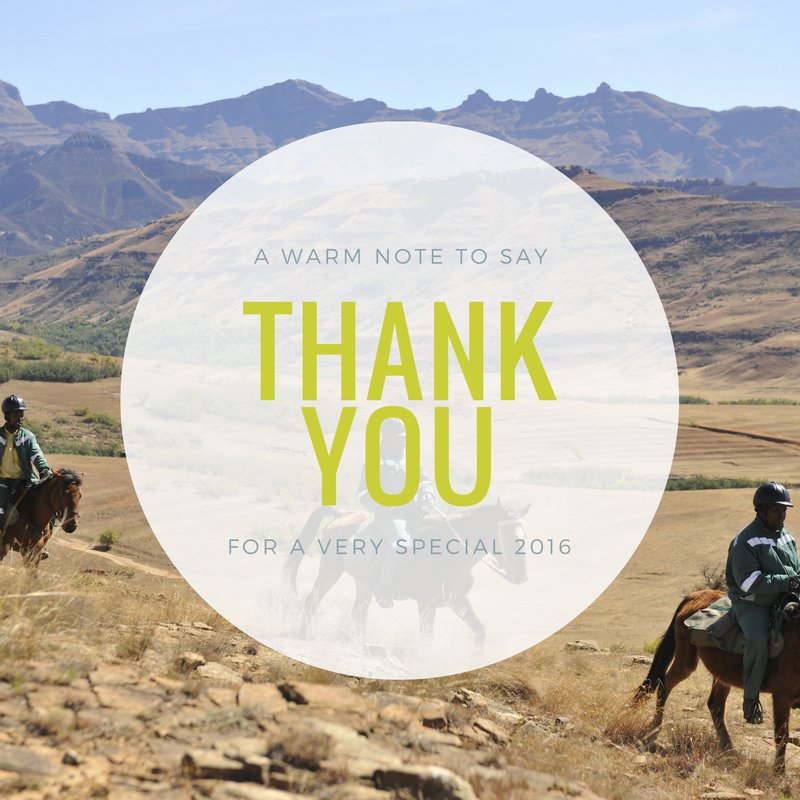 GetInvolvedNPC's tweet image. Today we reflect &amp;amp; wish to thank our partners, stakeholders &amp;amp; followers for your support. With a cast like this, we can&apos;t wait for 2017!
