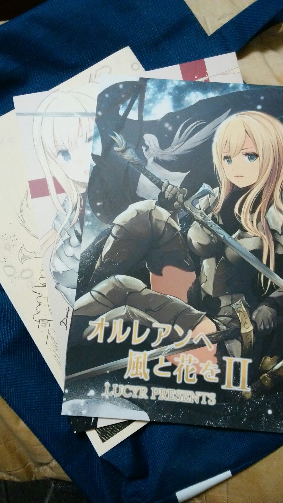 ああああ オルレアンへ風と花を しゅばりえーるのイギリス主人公のお話 女騎士 甲冑 剣 いいゾ これ 女の子がかわいいしかっこいいし たいへんよいものであった
