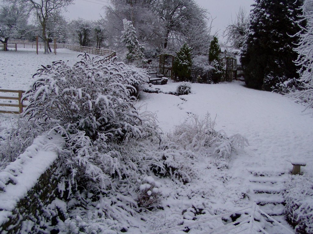 Looking back at 2016 the only day with widespread snow in the county was the 17th of January as these photos from <a href="/NNweather/">Northamptonshire Weather</a> followers show.