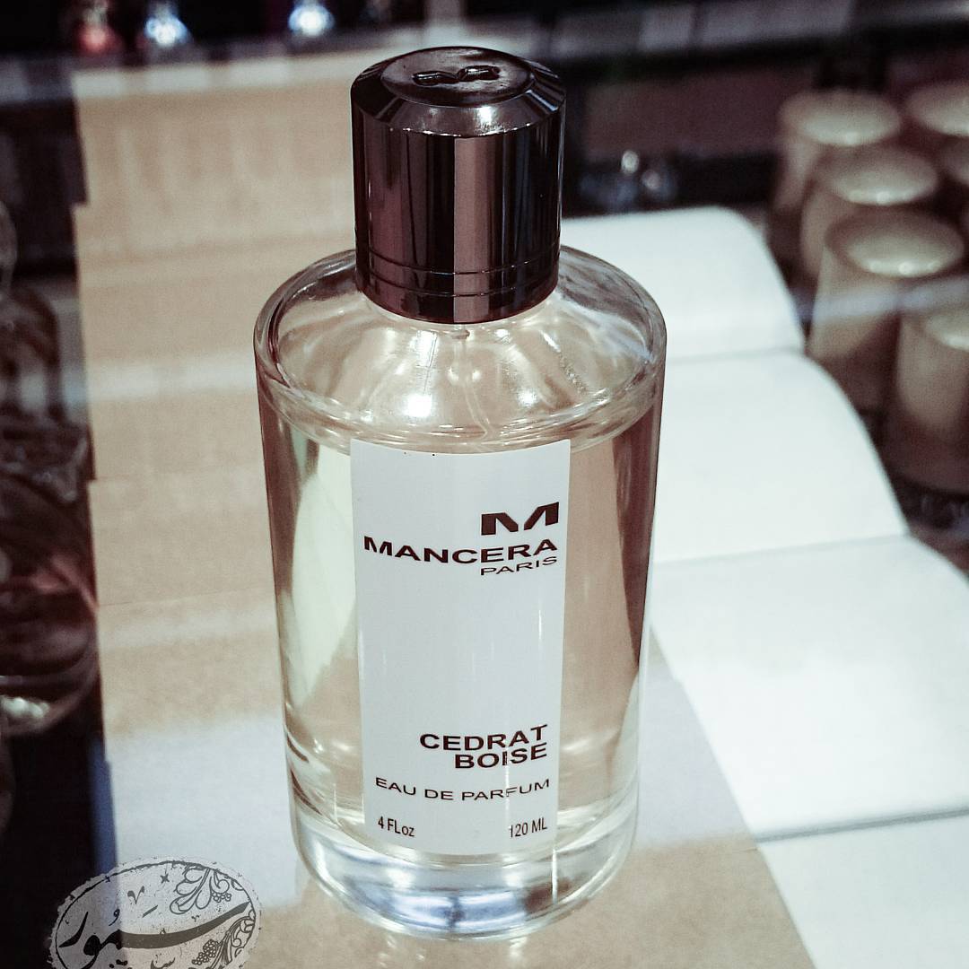 SamoorGroup's tweet photo. یک #عطر_مشابه برای #کرید #اونتوس، با بویی #میوه_ای تر و #چرمی تر
#SamoorGroup
#Creed
#Aventus
#Mancera
#Cedratbois

https://t.co/VHYGQ1h51S https://t.co/sUsyDO2bmf