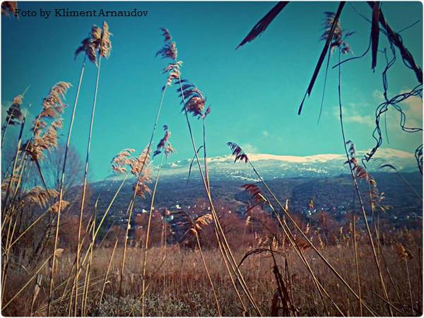 OhridSOS's tweet photo. #SOS2016 Dec: Year ends badly—construction at #Lagadin; fire on #Galicica—but fight to #SaveLakeOhrid wetland, mountain & all will not quit. https://t.co/vdzkC1y0ga
