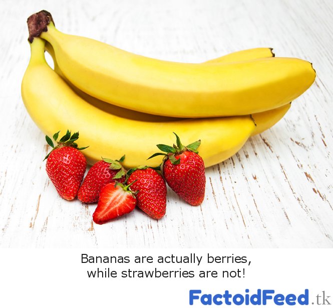 What's a Berry? - factoidfeed.tk/science/whats-… #bananas #science #trivia #facts