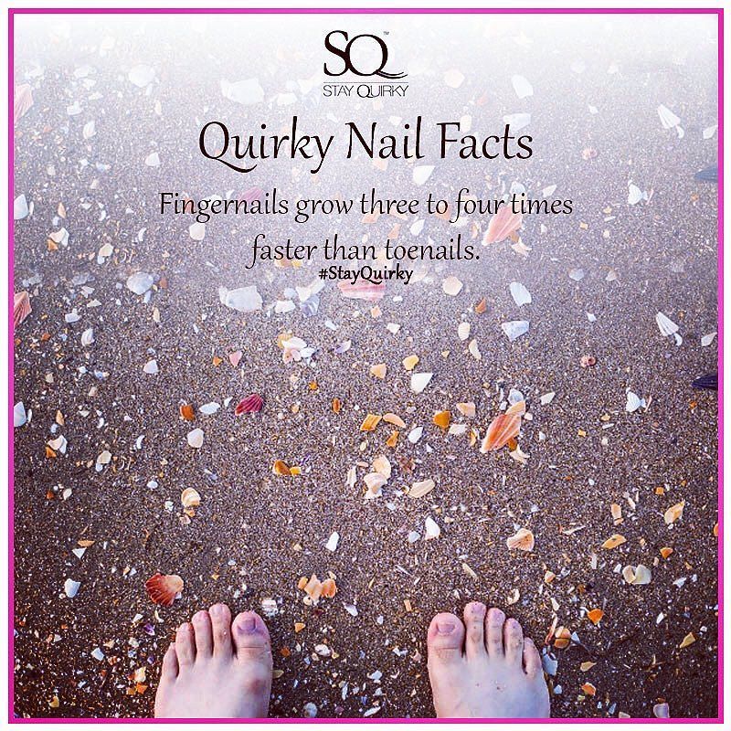stay_quirky's tweet image. Here are some #quirky #nailfacts for you.  Did you know ...#fingernails grow 3-4 times fas… ift.tt/2in3mPe