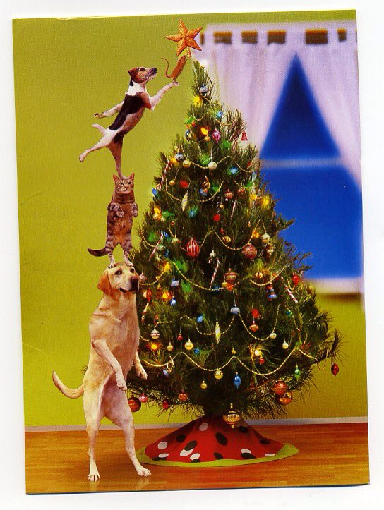 NunziaInsanity's tweet image. #FriendsofInsanity All over the #Globe 🌎 The  #Holidays are a #Challenge so #Rock them!👊🏼🎶🎄#ChristmasEveEve Sonsofinsanitymusic.com