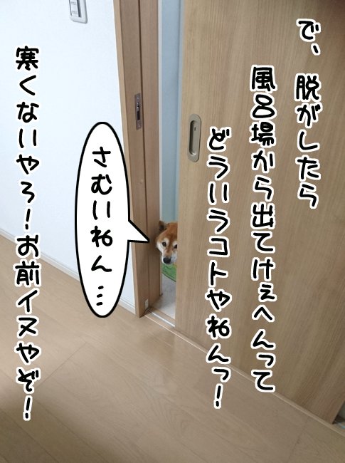 ファーーーwww
今日wイブwwww
ワンコww預かwwるww
しかもww24、25日ww
ガチでwwwドコにもww
行けwwwないwww
…
……まぁ
何の予定もねぇけど…
U ゚ ェ ゚ Uサンポ行こ…